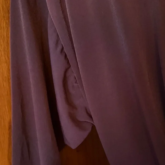 NWT Express Burgundy Jumpsuit - Picture 3 of 4